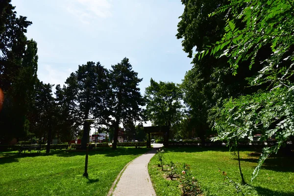 Uitzicht Prachtige Tuin Zomer Zonnige Dag — Stockfoto