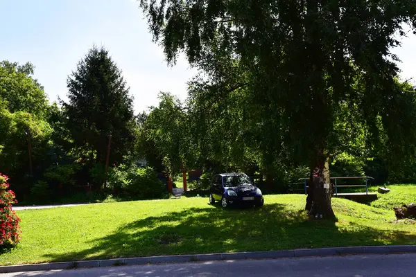 Uitzicht Prachtige Tuin Zomer Zonnige Dag — Stockfoto