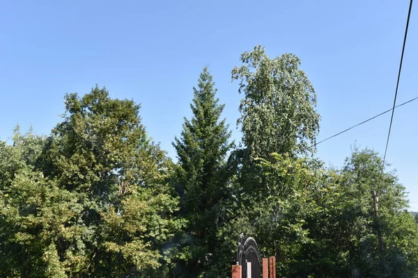 Landschap Van Groene Zomer Bos Blauwe Lucht Achtergrond — Stockfoto