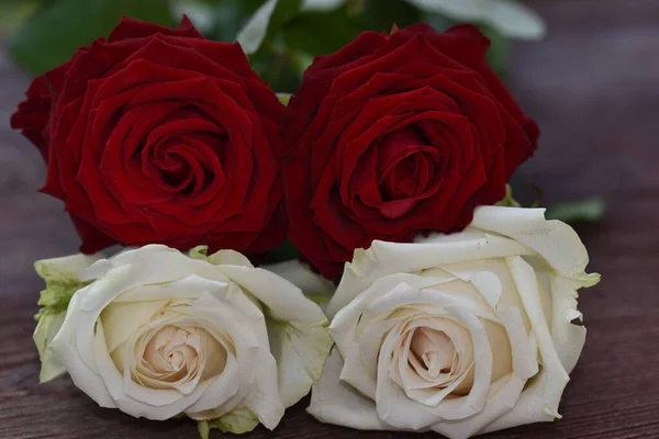 Piękne Róże Drewnianym Tle Koncepcja Letnia Widok Bliska — Zdjęcie stockowe