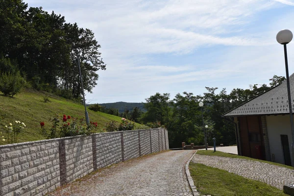 Güneşli bir günde ağaçların ve binaların arasındaki yol manzarası