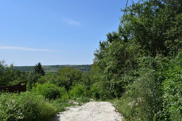 Дорога Вздовж Зеленого Літнього Лугу Лісом Фоні Блакитного Неба — стокове фото