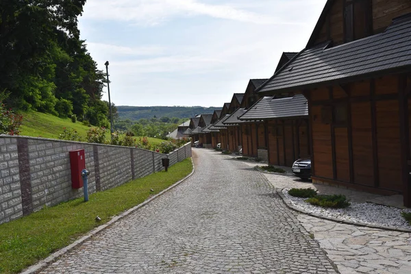 Güneşli bir günde ağaçların ve binaların arasındaki yol manzarası