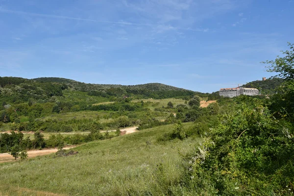 Landschaft Der Grünen Sommerwiese Mit Wald Auf Blauem Himmel Hintergrund — Stockfoto