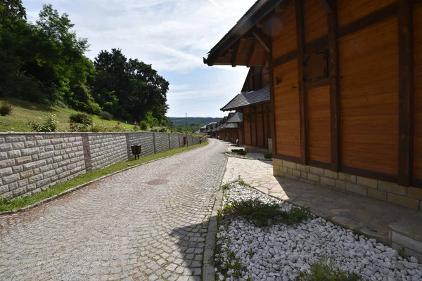 Blick Auf Die Straße Zwischen Gebäuden Und Bäumen Grünen Bäume — Stockfoto