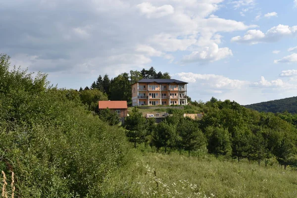 Mavi arka planda yeşil yaz ormanı yakınlarındaki binalar 