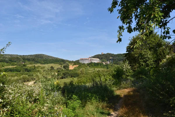 Paisaje Pradera Verde Verano Con Bosque Sobre Fondo Cielo Azul —  Fotos de Stock