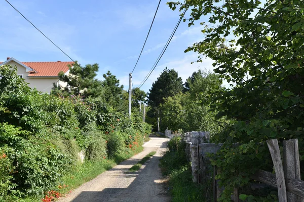 Vista Strada Tra Villaggio Giornata Sole — Foto Stock