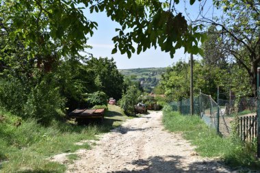 yol boyunca yeşil yaz çayırı boyunca ormanlar mavi gökyüzü arka planında  