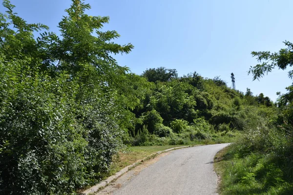 Cesta Podél Zelené Letní Louky Lesem Modré Obloze Zázemí — Stock fotografie