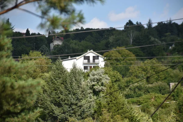 Budynki Zielonym Lesie Letnim Tle Błękitnego Nieba — Zdjęcie stockowe