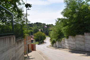 Güneşli bir günde ağaçların ve binaların arasındaki yol manzarası