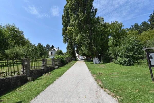 Blick Auf Schönen Garten Sonnigem Sommertag — Stockfoto