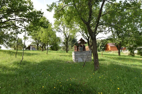 Blick Auf Schönen Garten Sonnigem Sommertag — Stockfoto