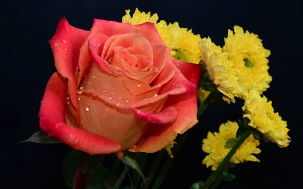 Ramo Hermosas Flores Sobre Fondo Oscuro Concepto Verano Vista Cercana — Foto de Stock