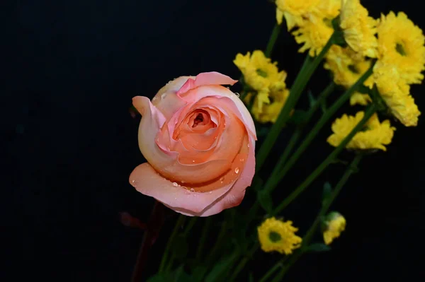 Csokor Gyönyörű Virágok Sötét Háttér Nyári Koncepció Közelről — Stock Fotó