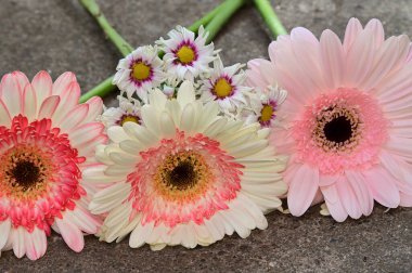 Güzel çiçeklerin açtığı yeri kapat.