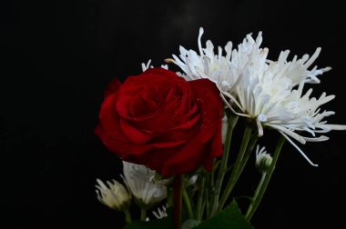 Koyu arkaplanda güzel çiçekler, yaz konsepti, yakın manzara  