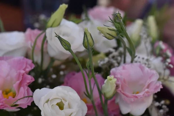 Bouquet Belles Fleurs Sur Fond Sombre Concept Été Vue Rapprochée — Photo