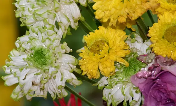 Bukiet Pięknych Gerbera Kwiaty Zewnątrz Koncepcja Latem Widok Bliska — Zdjęcie stockowe