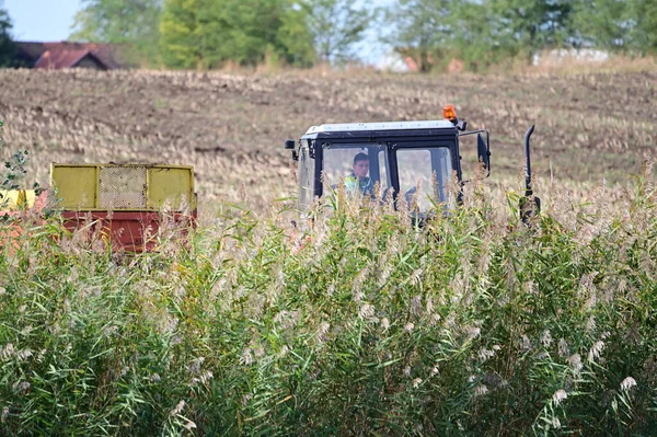 Öreg Rozsdás Traktor Mezőn — Stock Fotó