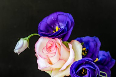 Güzel bir buket Eustoma çiçeği siyah arka planda 