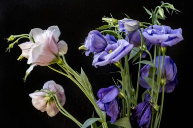 Güzel bir buket Eustoma çiçeği siyah arka planda 