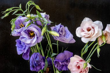 Güzel bir buket Eustoma çiçeği siyah arka planda 