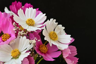 Güzel bir buket çiçek koyu arkaplanda. yaz çiçekleri. 