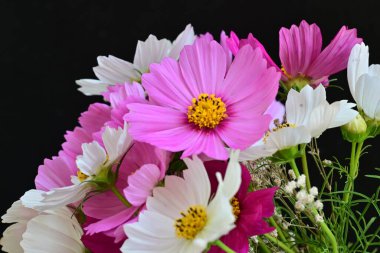 Güzel bir buket çiçek koyu arkaplanda. yaz çiçekleri. 