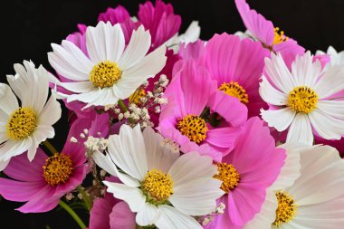 Güzel bir buket çiçek koyu arkaplanda. yaz çiçekleri. 