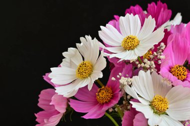 Güzel bir buket çiçek koyu arkaplanda. yaz çiçekleri. 