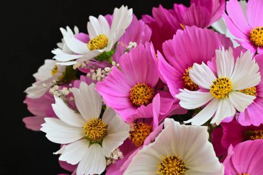 Güzel bir buket çiçek koyu arkaplanda. yaz çiçekleri. 