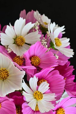 Güzel bir buket çiçek koyu arkaplanda. yaz çiçekleri. 