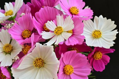 Güzel bir buket çiçek koyu arkaplanda. yaz çiçekleri. 