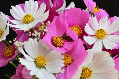 Güzel bir buket çiçek koyu arkaplanda. yaz çiçekleri. 