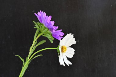 Güzel bir buket yaz çiçeğini kapatıyoruz. 