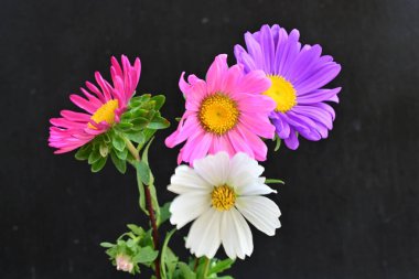 Güzel bir buket yaz çiçeğini kapatıyoruz. 