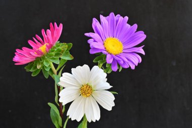 Güzel bir buket yaz çiçeğini kapatıyoruz. 