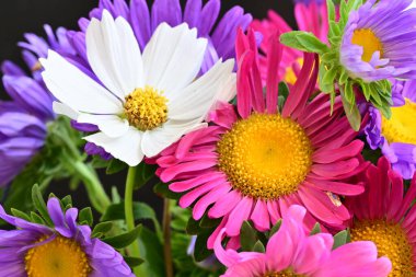 Güzel bir buket yaz çiçeğini kapatıyoruz. 