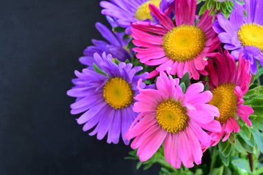 Güzel bir buket yaz çiçeğini kapatıyoruz. 