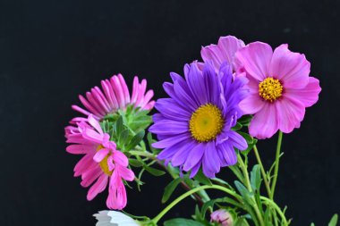 Koyu arkaplanda güzel çiçekler, yaz konsepti, yakın manzara 