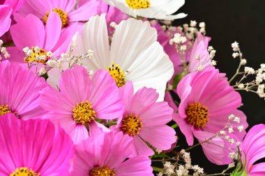 Güzel bahar çiçeklerinin yakın görüntüsü