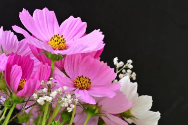 Koyu arkaplanda güzel parlak çiçekler, yaz konsepti, yakın görüş