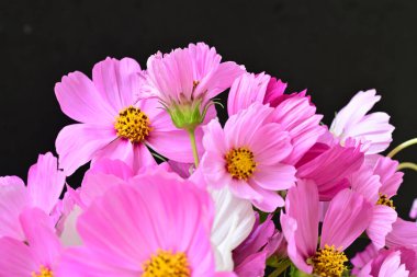 Parlak çiçekli güzel bir buket.