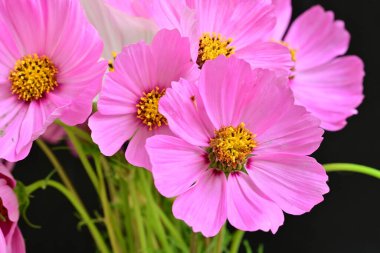 Bahar çiçeklerinin güzel buketini kapat.