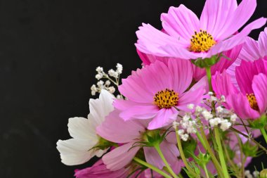 Güzel çiçeklerin güzel manzarasını kapat.