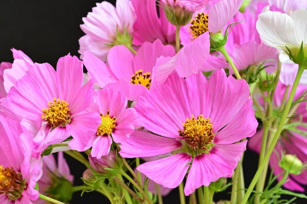 Güzel bir buket çiçek, yakın çekim.