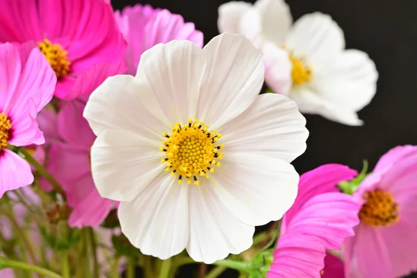 Bahar çiçeklerinin güzel buketini kapat.