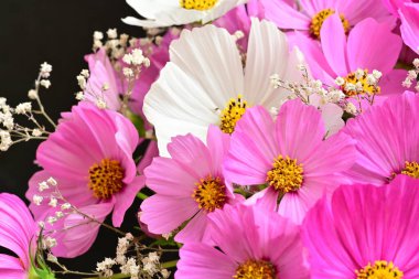 Arka planda güzel çiçekler, kapat